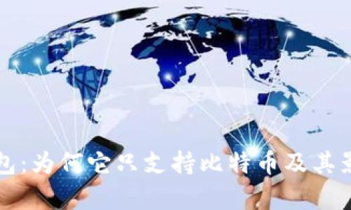 比太钱包：为何它只支持比特币及其影响分析